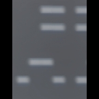 DNA-4-Banks