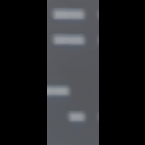 DNA-4-Banks-120