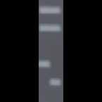 DNA-4-Banks-180