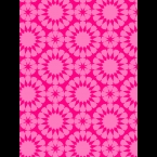 6-Fuchsia