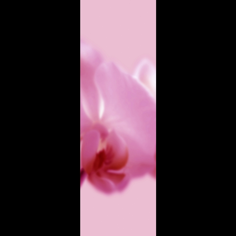 Orchid-2-Magenta-120