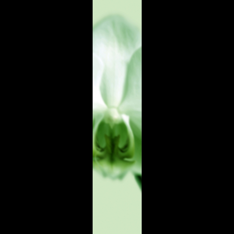 Orchid-1-Green-180