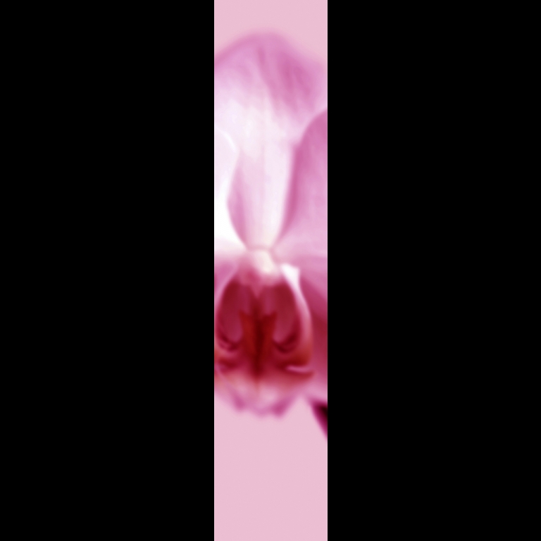 Orchid-1-Magenta-180
