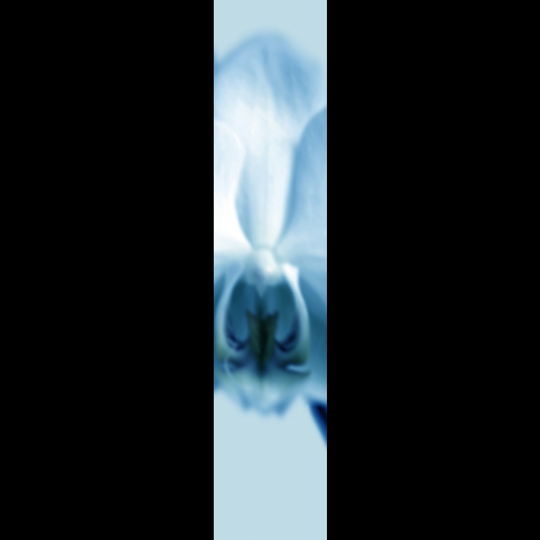 Orchid-1-cyan-180