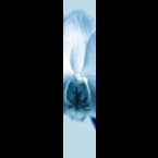 Orchid-1-cyan-180