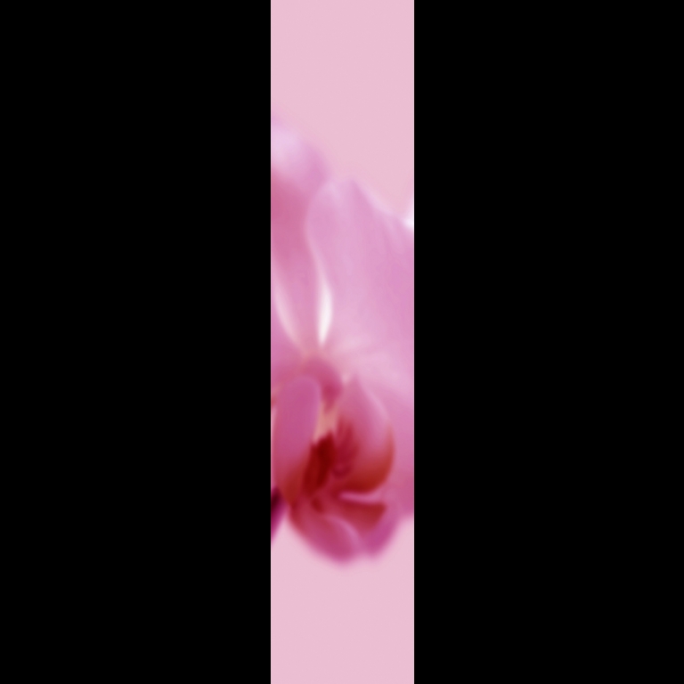 Orchid-2-Magenta-180