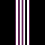 Meystyle-Purple-Stripe-120